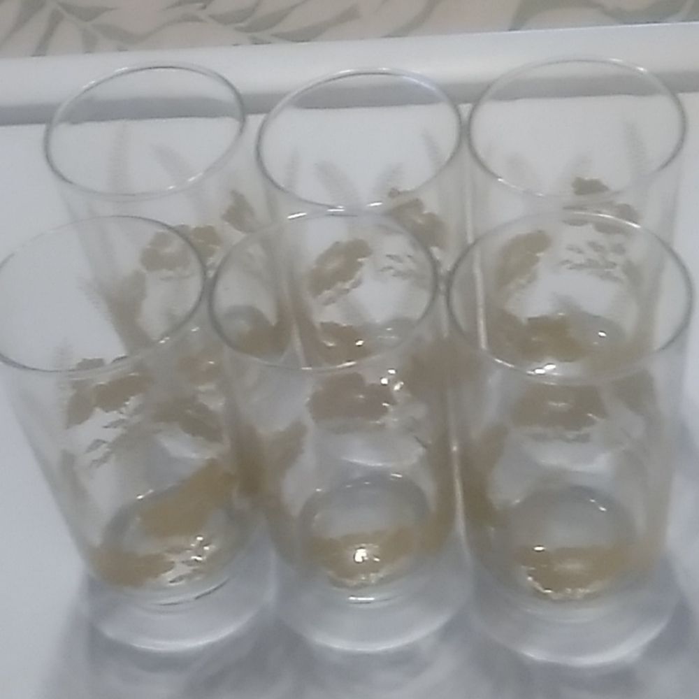 Libbey 's Glasses 